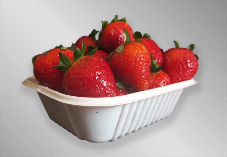 Bandejas frutas