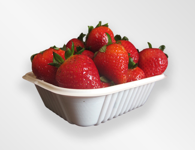 productos_alimentos